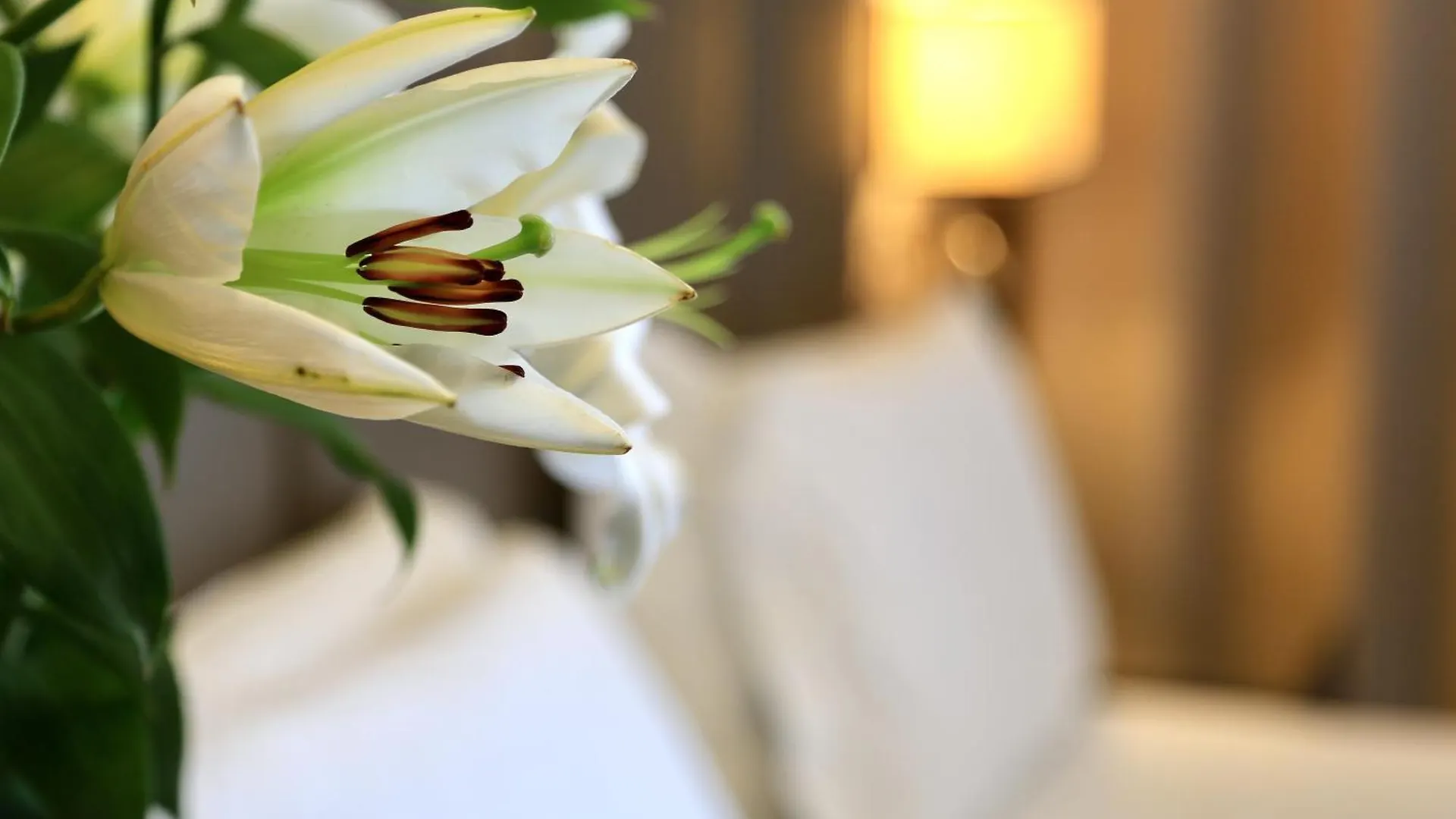 Klima Hotel Milano Fiere 4*, Milaan Italië